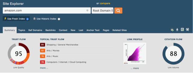netlinking trust flow